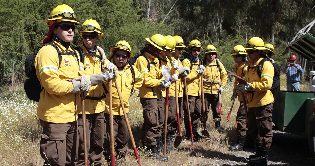 Imagen de Prevención de incendios forestales: propuestas para una mirada más efectiva e integral}