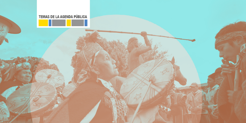 Imagen de Contribuciones a la discusión constitucional: reconocimiento y derechos de los pueblos indígenas